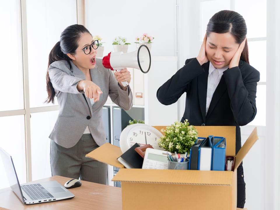 第一份工作最好別待太久？專家曝職場內幕是這樣看菜鳥