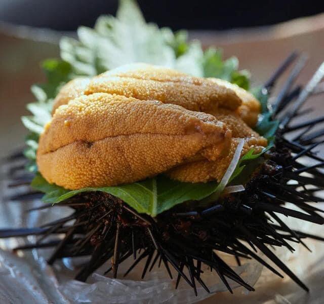 Yu宇的大頭照