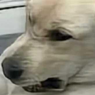 狂吃巧克力的大頭照