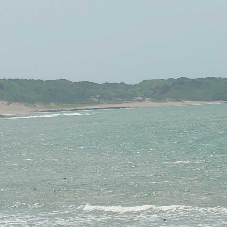 ChenYue的大頭照