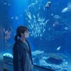 其海
