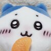 蝸牛
